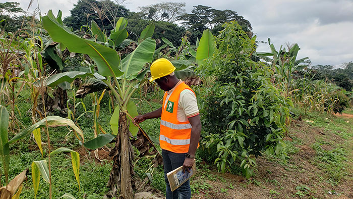 AGPA SARL en descente à MFOU 